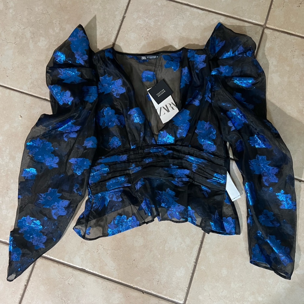 NWT Zara Festive Puff Sleeve Sheer Iridescent Top - M